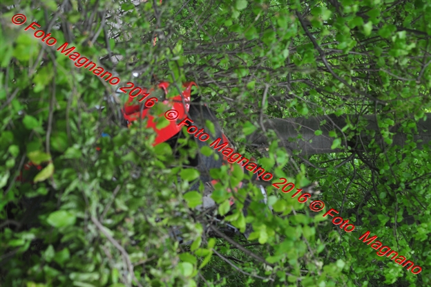 DSC_0954.JPG